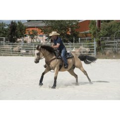 Westernové sedlo pro koně WESTRIDE Arvada, hnědé