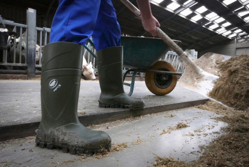 Holinky BEKINA StepliteX zelené