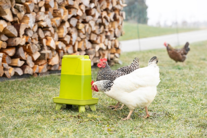 KERBL klobouková napáječka obdélníková pro drůbež s nožičkami