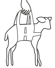 Nylonový závěs pro jehňata na nošení a vážení