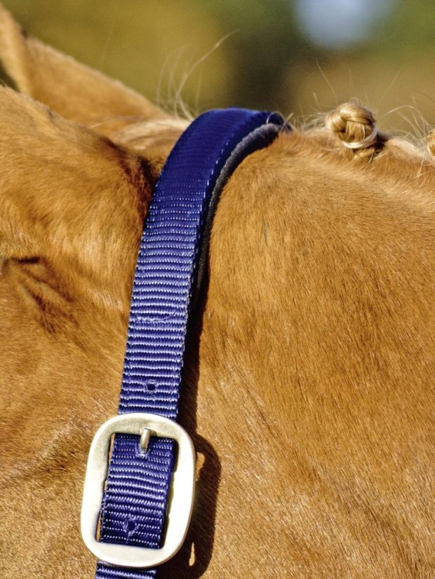 Stájovka BUSSE Solid Soft