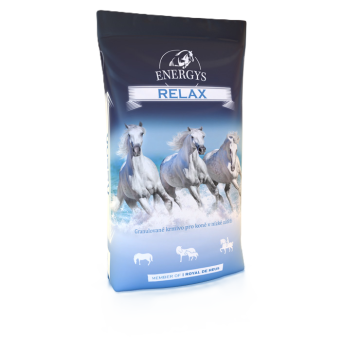 Krmení pro koně a krmné doplňky