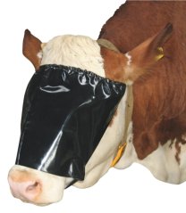 Krycí maska s elastickým popruhem pro skot