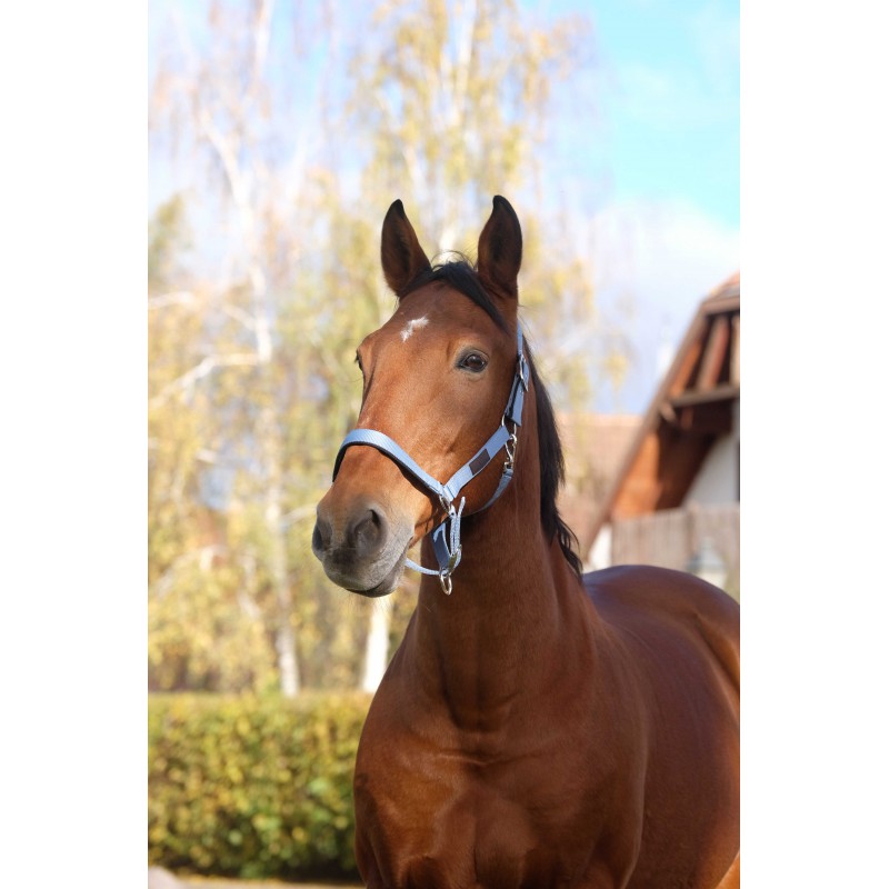Stájovka pro koně  EQUITHEME Spring