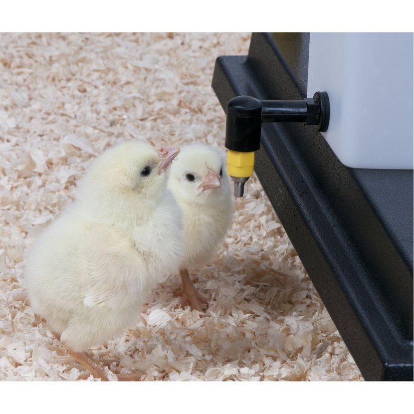 Niplová napáječka pro kuřata a drůbež PENDO závěsná 1 ltr.