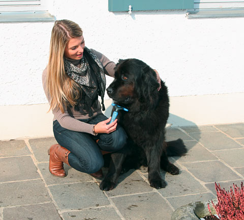 KERBL Pet Hřeben dvouřadý pro psy