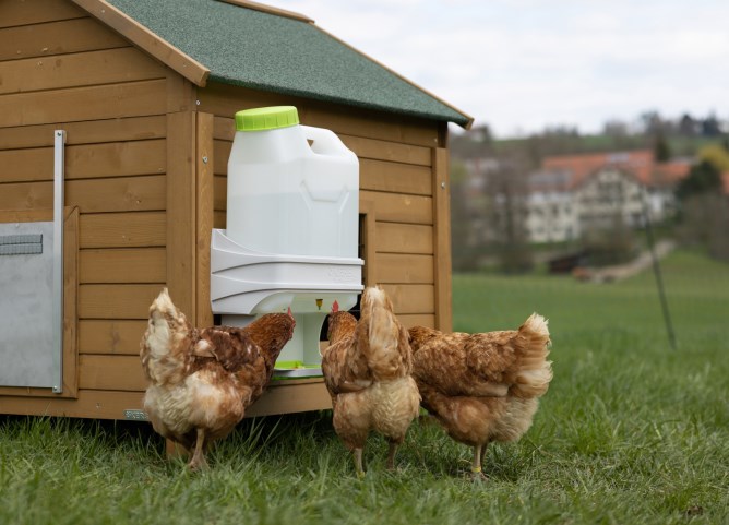 KERBL SMARTCOOP niplová napáječka pro kuřata a drůbež 10ltr