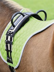 Obřišník pro koně, pony, malé koně BUSSE DOUBLE se 2 madly