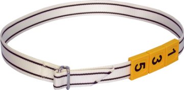 Evidence, označování skotu