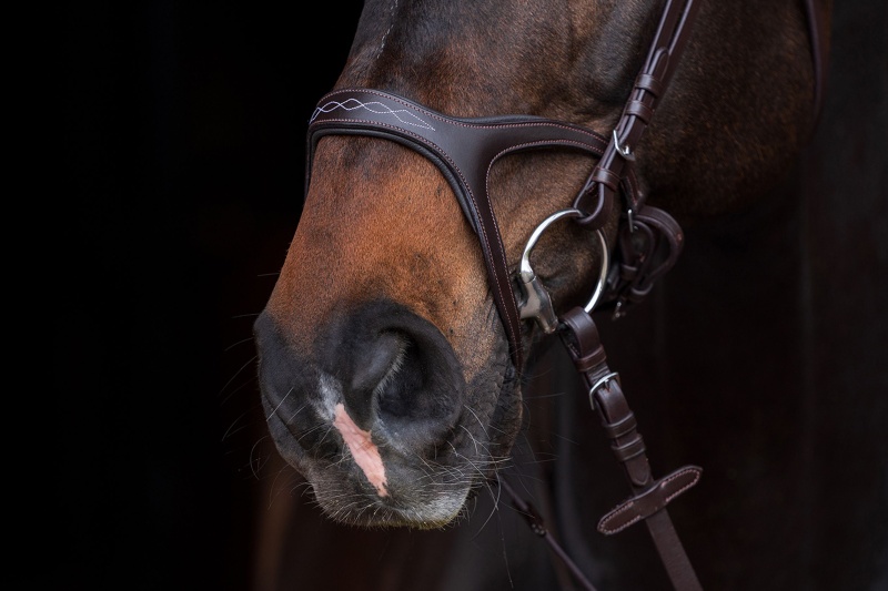 HKM Anatomic Sports uzdečka kožená