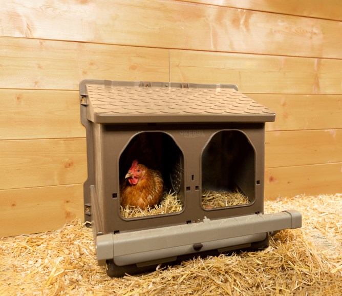 KERBL dvoumístné snáškové hnízdo pro slepice plastové