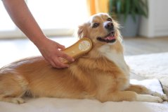 MagicBrush Soft kartáč plastový jemný žlutý pro psy