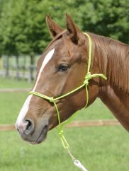 Provazová ohlávka BUSSE Smooth II