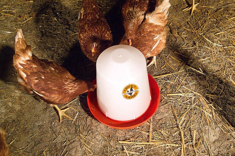 Klobouková napáječka pro drůbež