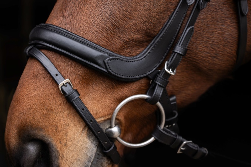 COVALLIERO Anatomic uzdečka pro koně