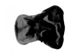 Beránek na posedlí syntetický pony