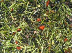 EGGERSMANN EMH Struktur Müsli  pro koně bez obilovin 20kg