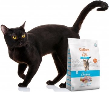 Krmení pro kočky, pamlsky, krmné doplňky