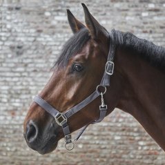 Stájovka WALDHAUSEN Satin