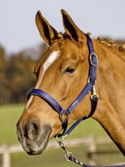 Stájovka BUSSE Solid Soft Stájovka BUSSE Solid Soft