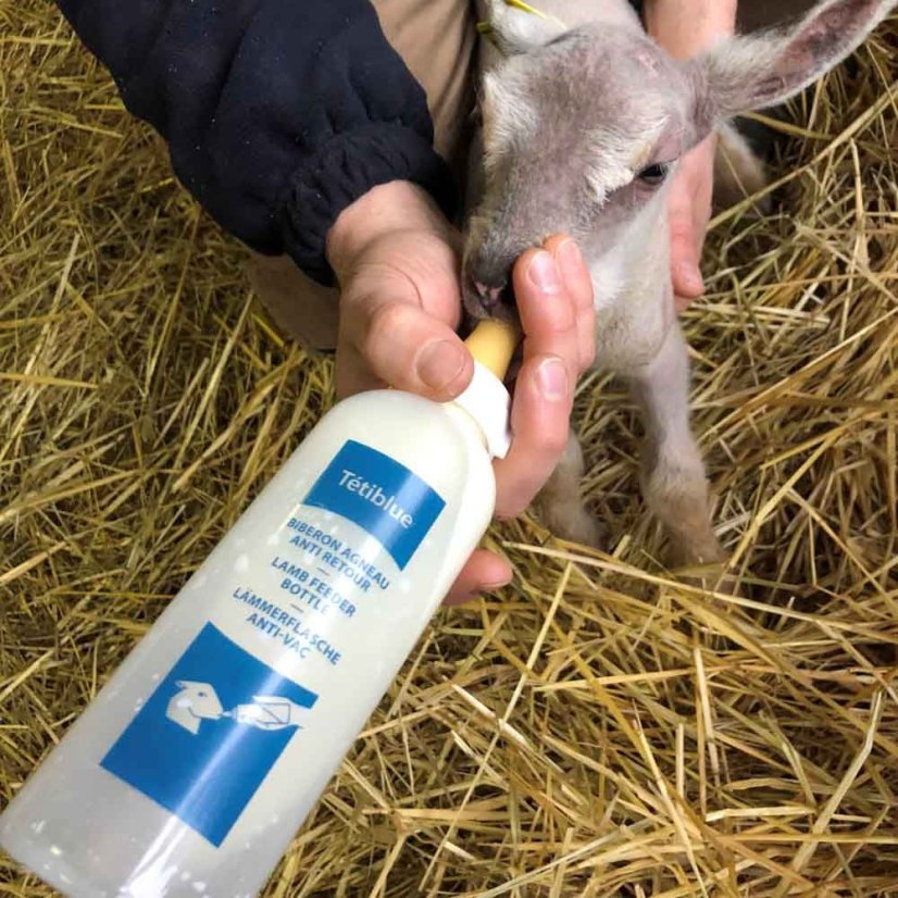 TETI BLUE krmná láhev pro jehňata, kůzlata s dudlíkem 500ml