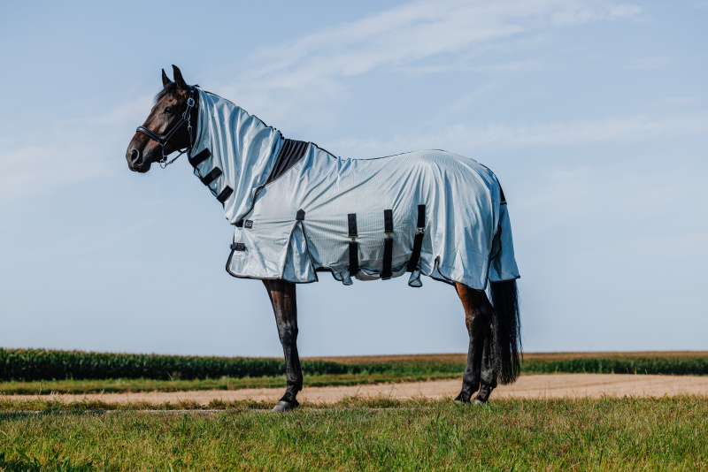 RIDING WORLD Belly Mesh Combo letní deka proti hmyzu pro koně