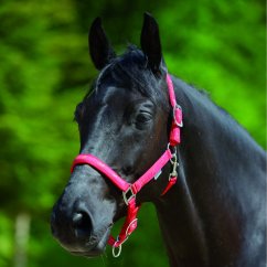 Stájovka pro pony, koně WALDHAUSEN Little Horse