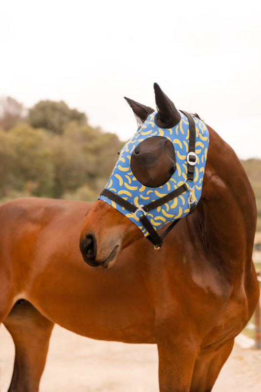 Maska  pro koně, pony proti hmyzu HORZE Elastic Pull-On,