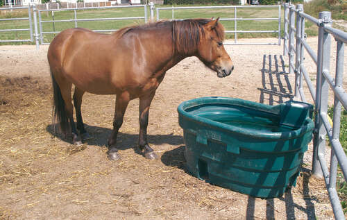 Napajedlo pro koně, skot SHWT na pastviny