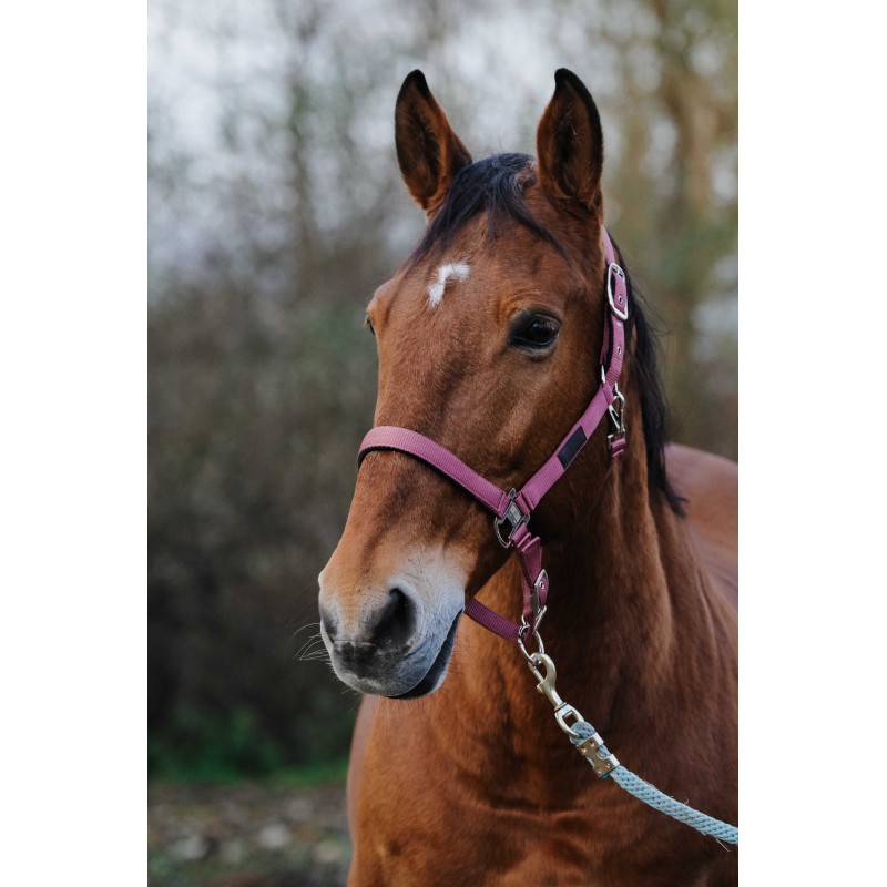 Stájovka pro koně  EQUITHEME Spring
