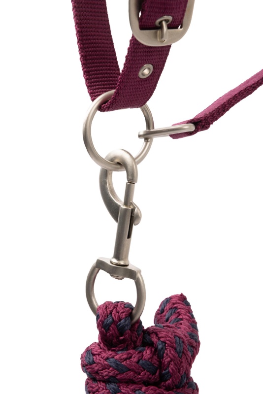 HORZE Eternal Gaze stájovka s vodítkem pro koně