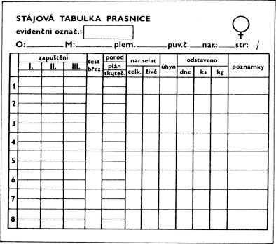 Stájová tabulka plastová pro prasnice