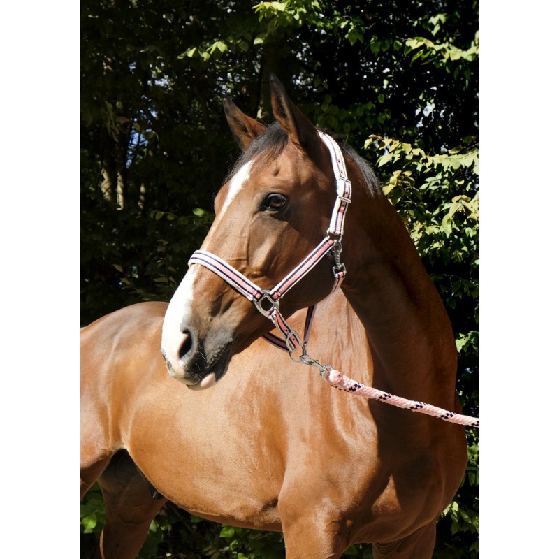 Stájovka EQUITHEME Ligne