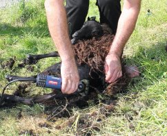 Heiniger Xpert 2 speed dvourychlostní stříhací strojek na ovce