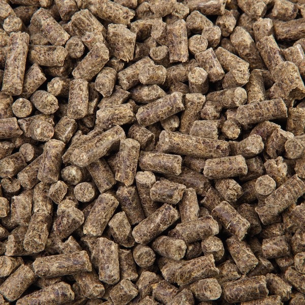 EGGERSMANN ReVital Cubes granule pro koně po schvácení 25kg