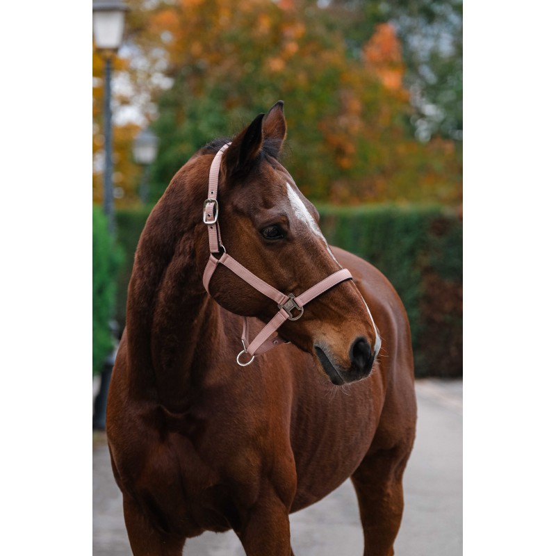 Stájovka pro koně  EQUITHEME Spring